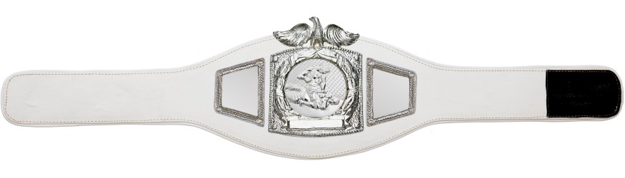 PROEAGLE MMA CHAMPIONSHIP BELT - PROEAGLE/S/MMAS - AVAILABLE IN 6+ COLOURS PROEAGLE MMA CHAMPIONSHIP BELT - PROEAGLE/S/MMAS - AVAILABLE IN 6+ COLOURS